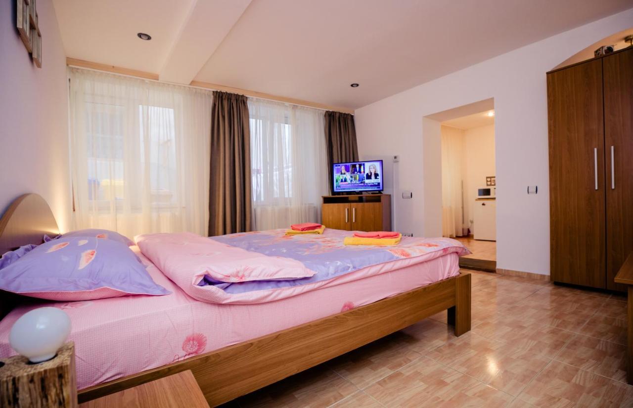 Studio Anisia Apartment Sibiu Exterior photo