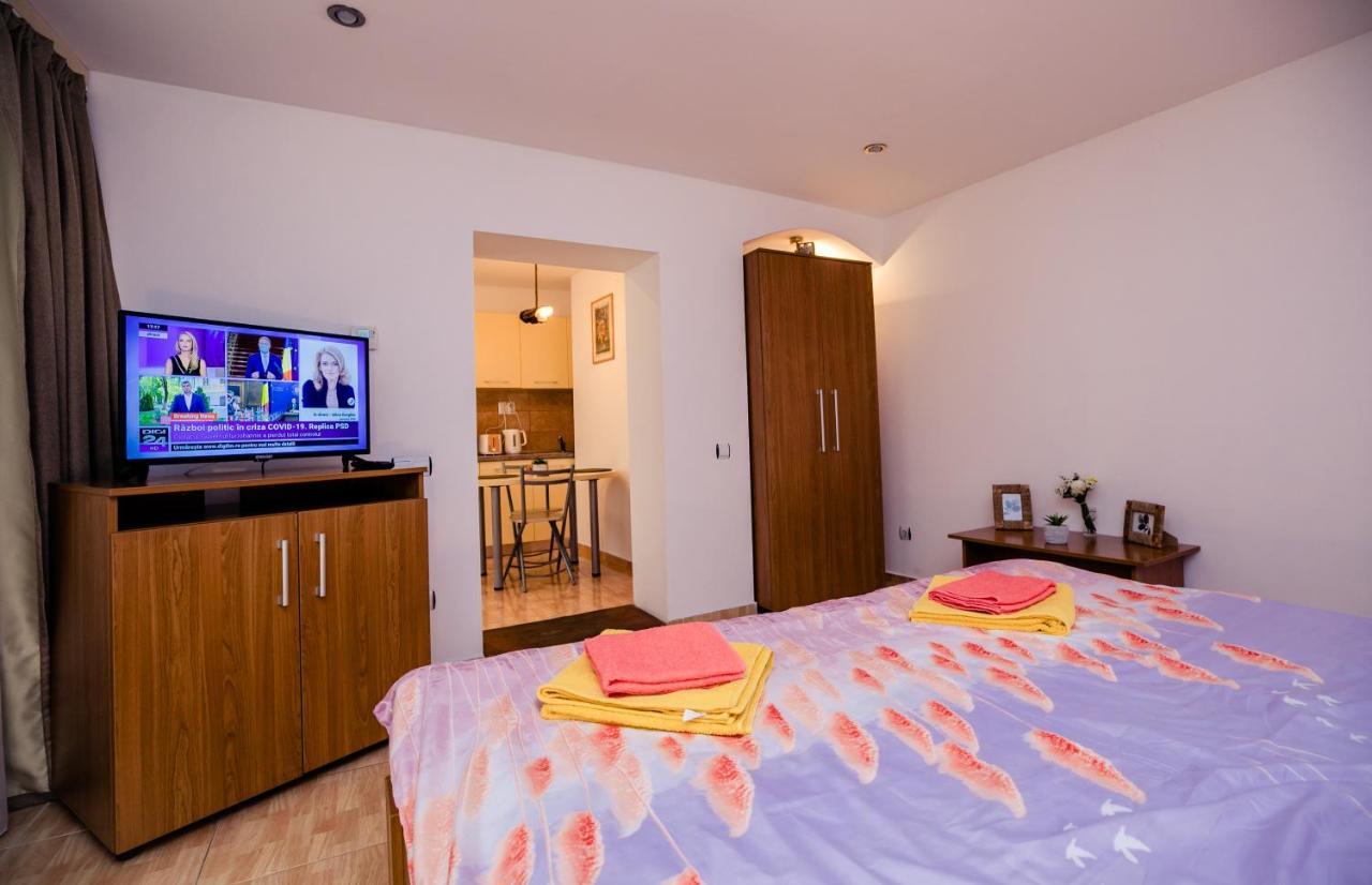 Studio Anisia Apartment Sibiu Exterior photo